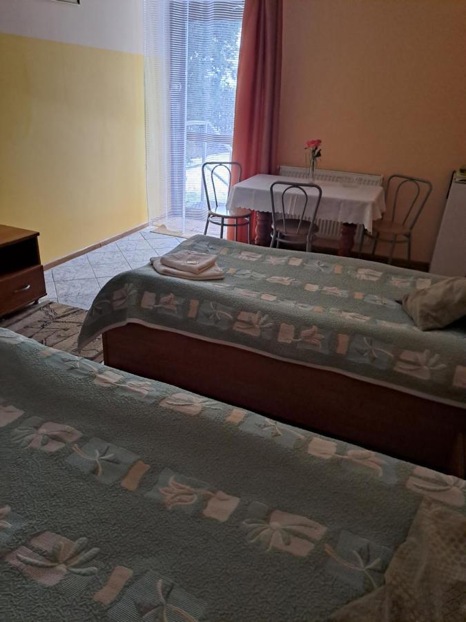 Hotelik WARMIA -Pensjonat, Hostel Lidzbark Warmiński Eksteriør bilde